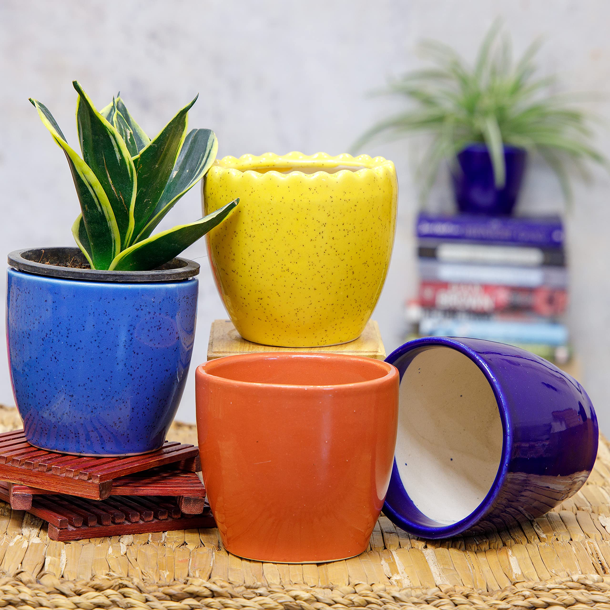 Pots Collection